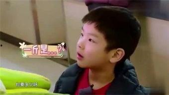 娱乐吃瓜酱小孩哥,揭秘小孩哥的童年趣事与成长历程