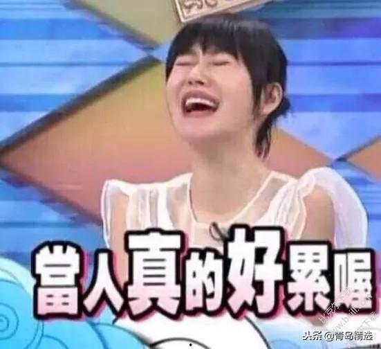 娱乐圈沙雕吃瓜文女主,沙雕吃瓜女主的逆袭之路